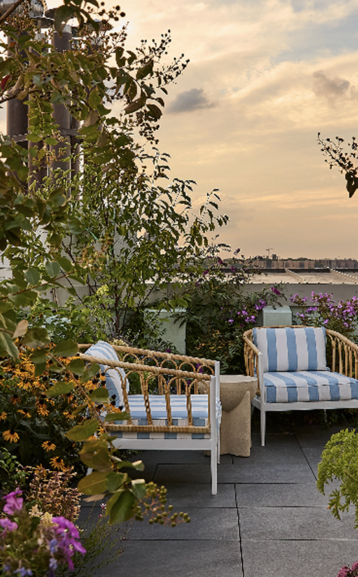 Native-planted garden courtyard designed by a TALD landscape designer